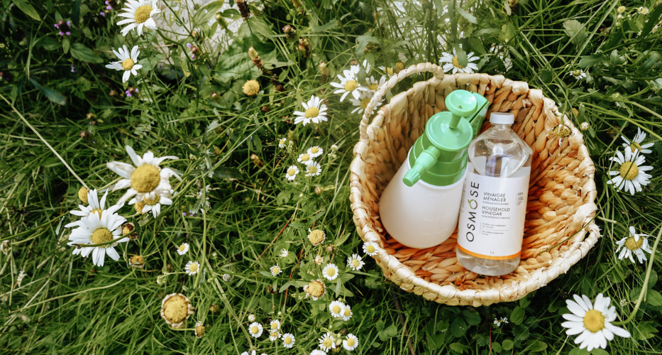 Comment se débarrasser des mauvaises herbes naturellement