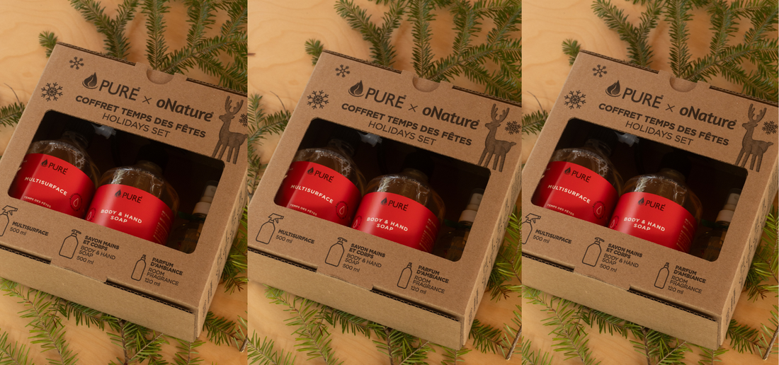 DIY ton renne temps des fêtes