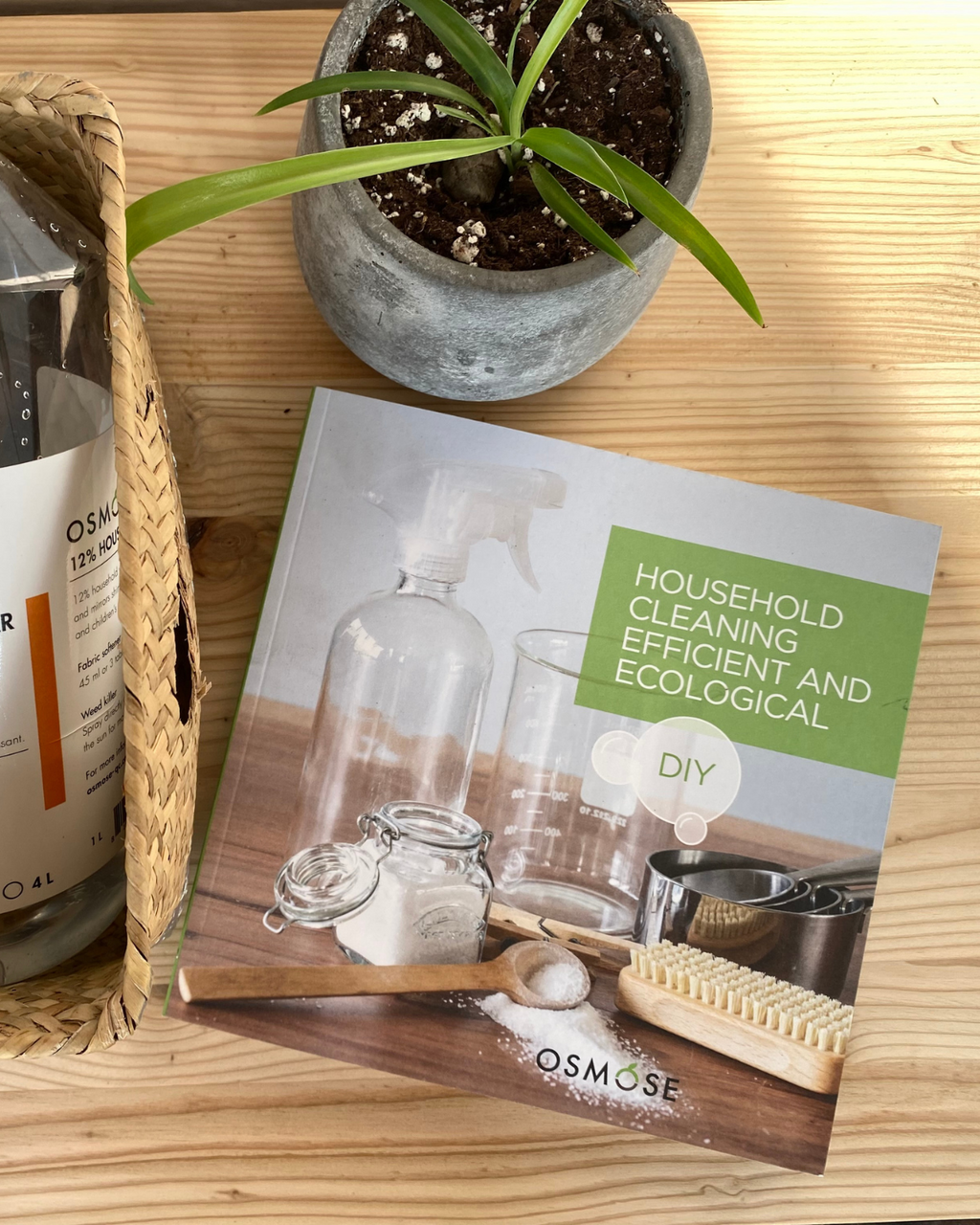 Book "household cleaning efficient and ecological" by Osmose